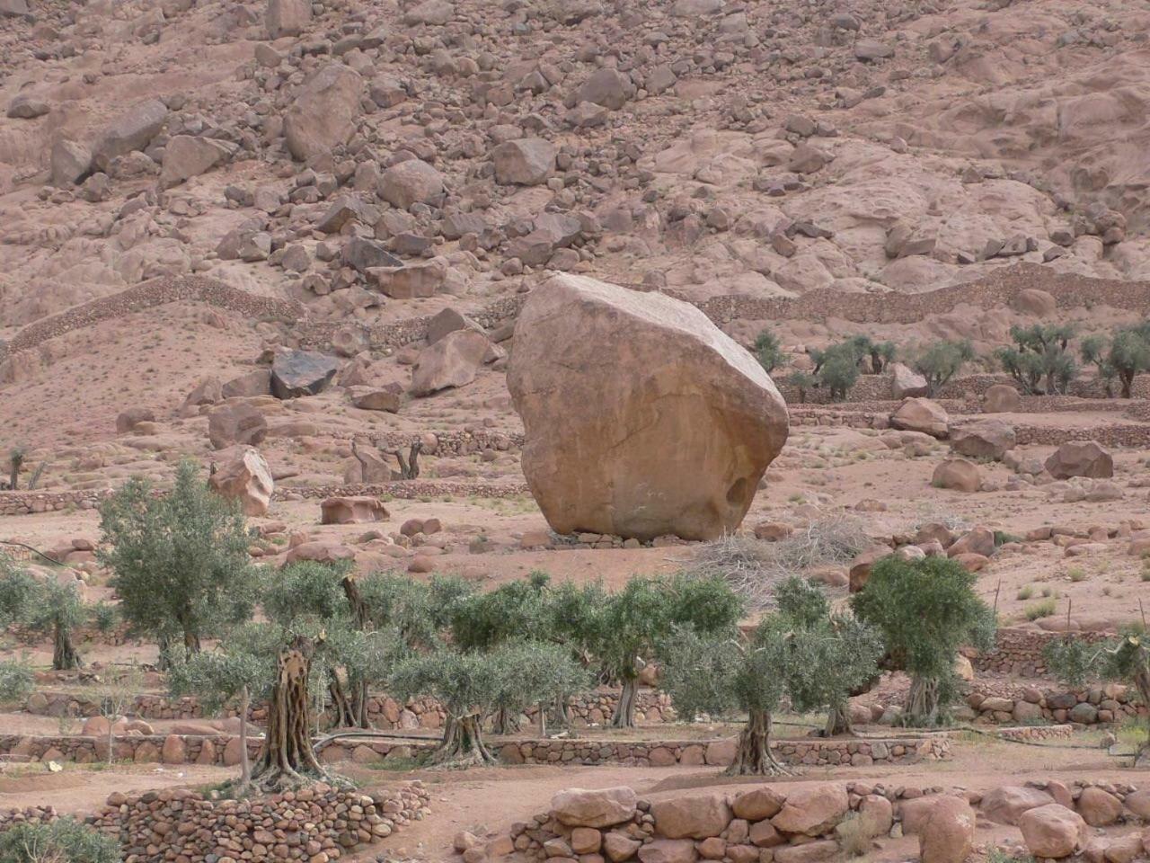 Sheikh Mousa Bedouin Camp Katharinaklooster Buitenkant foto