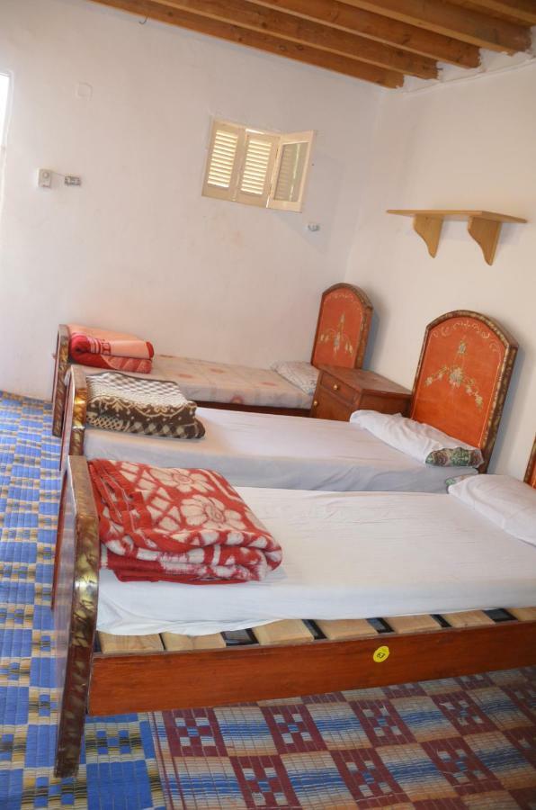 Sheikh Mousa Bedouin Camp Katharinaklooster Buitenkant foto